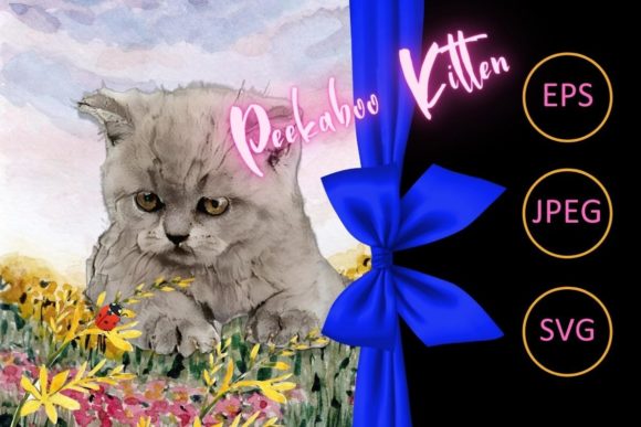 Download Peekaboo Kitten - Premium Resources